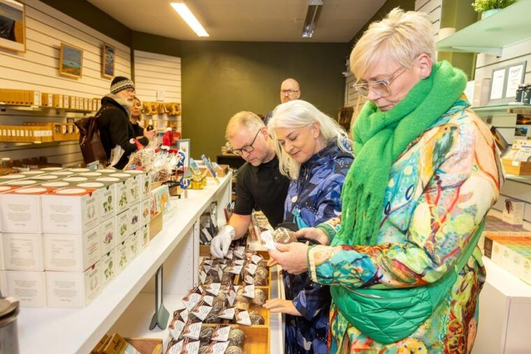 Reykjavik: Private Christmas Walking Tour - Final Thoughts