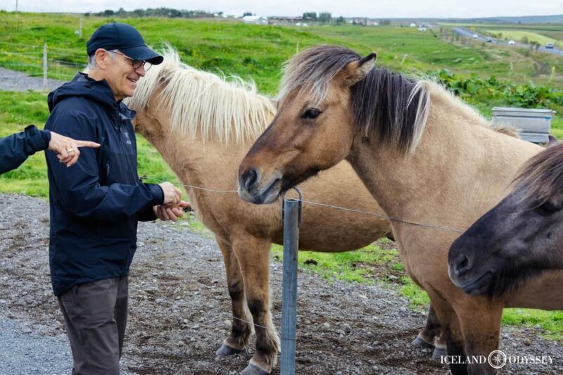 Reykjavik: Private Golden Circle & Secret Lagoon Tour - FAQ