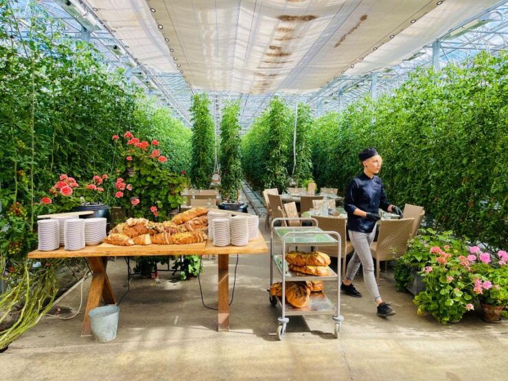 Reykjavík: Private Golden Circle Tour at Your Own Pace - Good To Know