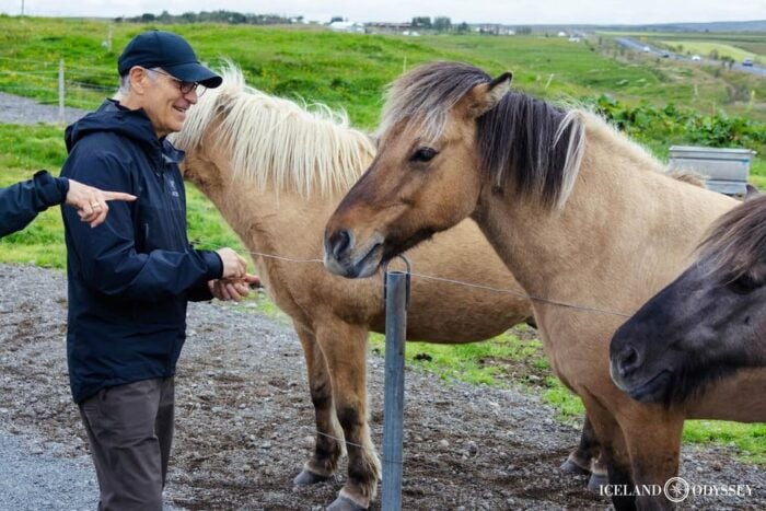 Reykjavik: Private Golden Circle with Northern Lights - Frequently Asked Questions