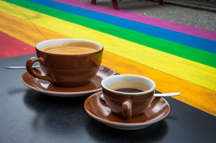 Reykjavík: Private LGBTQ Walking Tour With a Local Guide - Tour Details