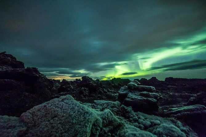 Reykjavik Private Northern Lights Tour - Best Time to See the Lights