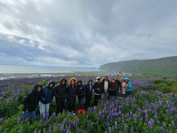 Reykjavik: Private Transfer To/From Keflavik Airport - Contact and Availability