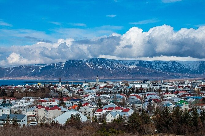 Reykjavik Private Walking Tour With A Professional Guide - Landmarks and Attractions