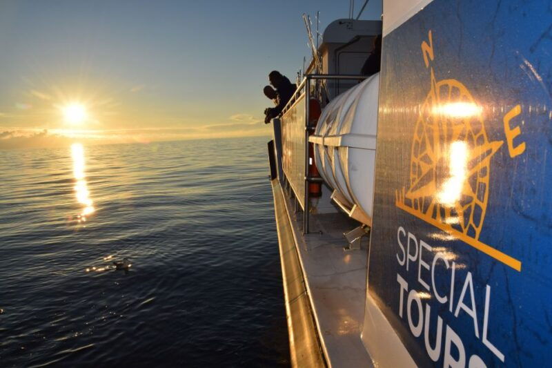 Reykjavik: Sea Fishing Boat Tour & BBQ with the Day's Catch - Out on Faxaflói Bay