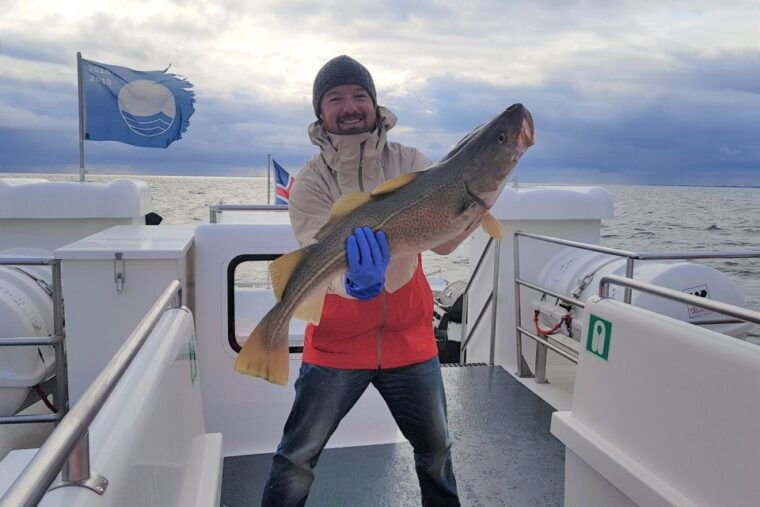 Reykjavik: Sea Fishing Boat Tour & BBQ with the Day's Catch - The Catch and Onboard BBQ