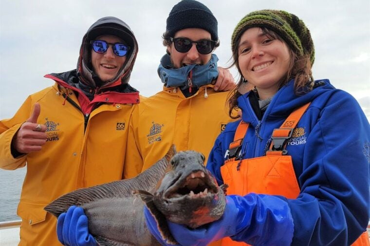 Reykjavik: Sea Fishing Boat Tour & BBQ with the Day's Catch - Wildlife and Additional Sightings