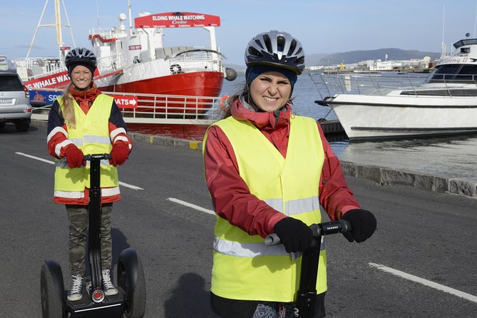 Reykjavik Segway Tour - The Sum Up
