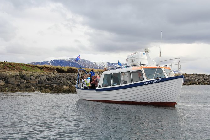 Reykjavik Shore Excursion: Puffin Sightseeing Cruise - Puffin Sightseeing Trip Experience