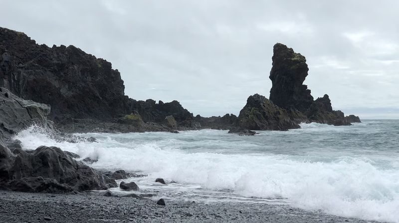Reykjavik Sightseeing Tour - Ytri-Tunga offers a chance to spot seals