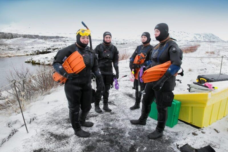 Reykjavík: Silfra Fissure Snorkeling and Lava Caving Tour - FAQ