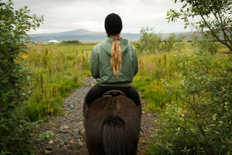 Reykjavik: Silfra Snorkel Tour and Horse Ride With Photos - Tour Details