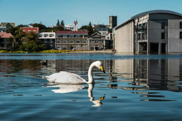 Reykjavik & Sky Lagoon (Pure Pass Entrance) - PRIVATE TOUR - Frequently Asked Questions