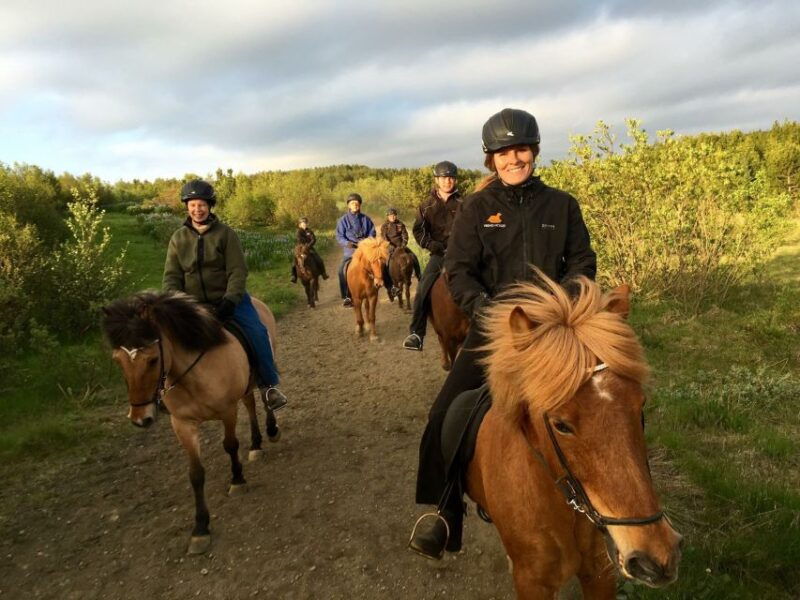 Reykjavik: Small-Group Horse Volcano Riding Tour with Pickup - Who Should Consider This Tour?