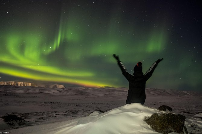 Reykjavik Small-Group Northern Lights Hunting Tour - Reviews