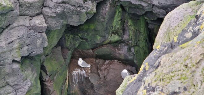 Reykjavik: Snaefellsnes Peninsula Private Tour With Local - What to Bring