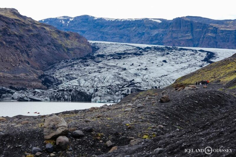 Reykjavik: South Coast, Waterfalls, Black Beach Private Tour - Who it’s best for