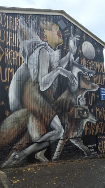 Reykjavik Street Art & Photo Friendly Walking Tour - Why This Tour Works Well
