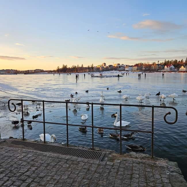 Reykjavik: Street Food Walking Tour - Frequently Asked Questions