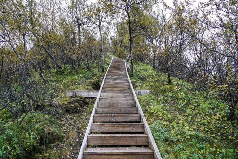 Reykjavik: Thorsmork Valley and Gigjokull Glacier Tour - Good To Know