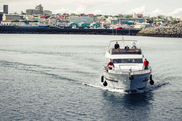 Reykjavik: Whale Watching and Dolphin Watching Yacht Cruise - Booking Details