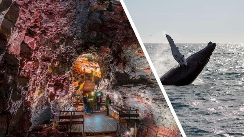 Reykjavik: Whale Watching and Lava Tunnel Combo Tour - Introduction: A Day of Natural Wonders in Reykjavik