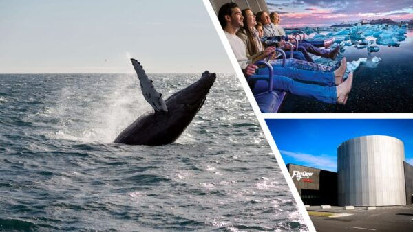 Reykjavík: Whale Watching Cruise and FlyOver Combo Ticket - Customer Feedback