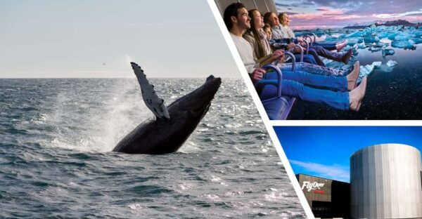 Reykjavík: Whale Watching Cruise and FlyOver Combo Ticket - Frequently Asked Questions