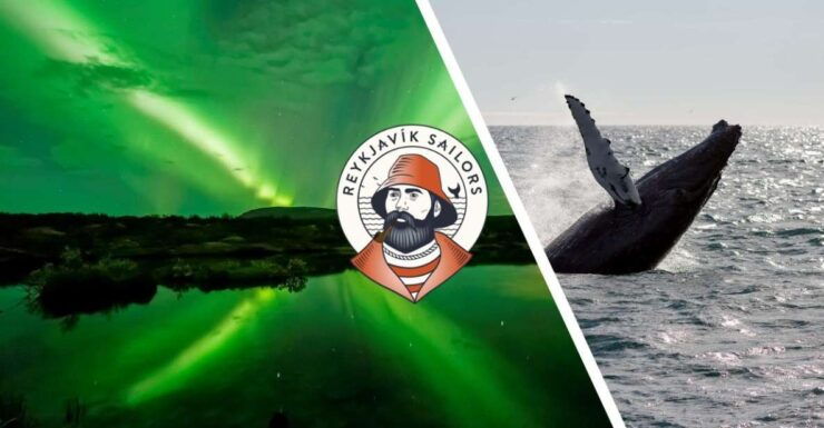 Reykjavik: Whale Watching & Northern Lights Combo Cruise - Activity Details