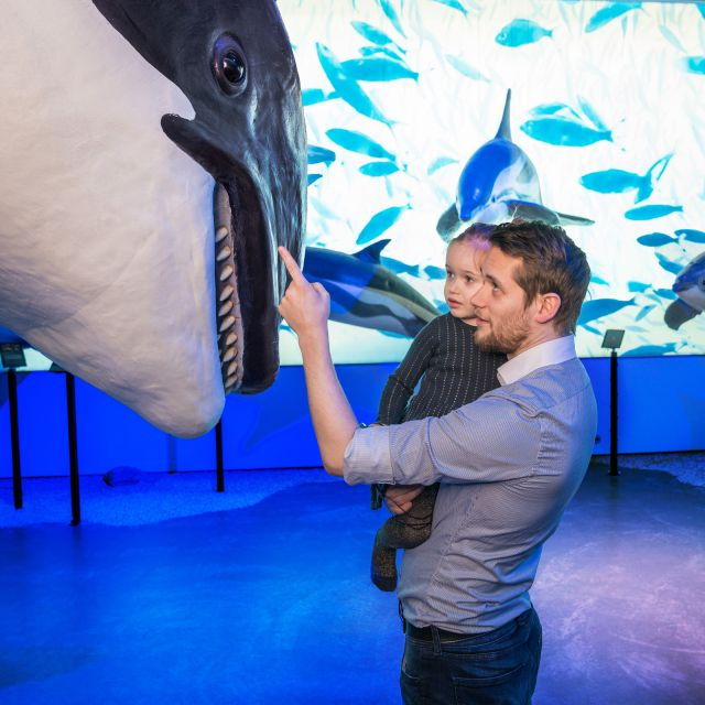 Reykjavik: Whale Watching Tour, Whales of Iceland Exhibition - Booking Details