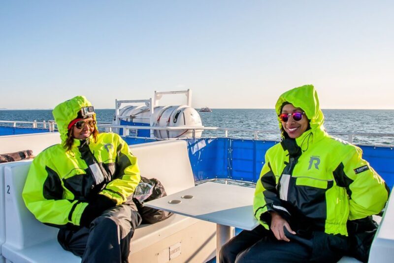 Reykjavik: Whale Watching Tour with Expert Guide - Practical Tips for a Smooth Trip