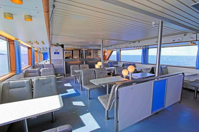 Reykjavik: Whale Watching Tour with Expert Guide - Who Would Love This Tour?