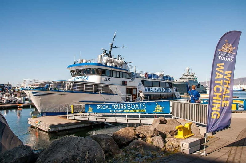 Reykjavik: Whale Watching Tour with Expert Guide - Good To Know