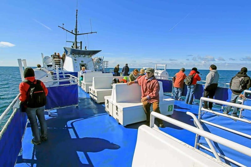 Reykjavik: Whale Watching Tour with Expert Guide - The Sum Up