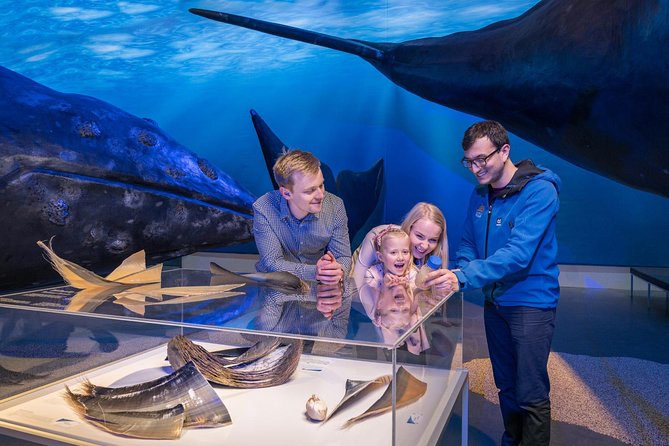 Reykjavik Whale-Watching Tour With Whales of Iceland Visit - Reasons to Choose This Tour