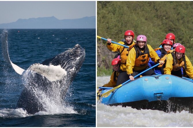 Reykjavik Whales & White Water Rafting Adventure - Pickup Points