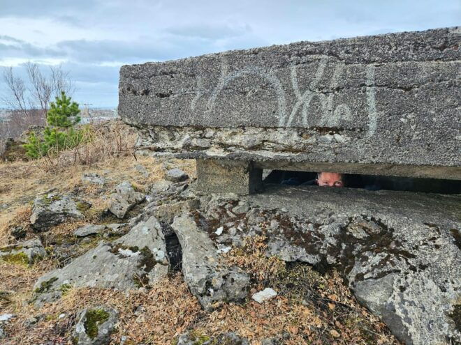 Reykjavik: WWII History Tour With a 1940S British Officer - Important Information
