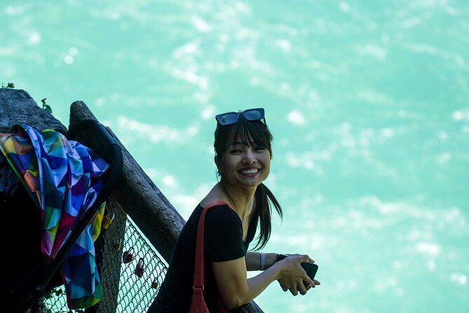 Rhine Falls Half-Day Tour From Zurich - Private Tour - The Sum Up