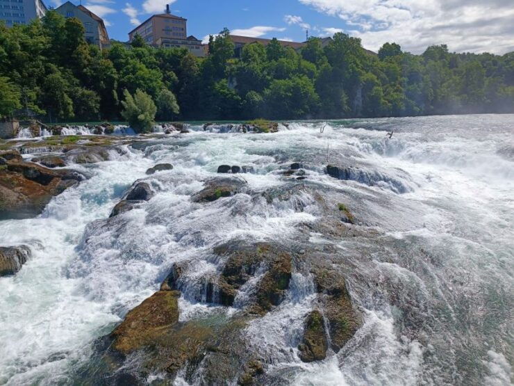 Rhine Falls & Stein Am Rhein: Private Tour With a Local - Good To Know