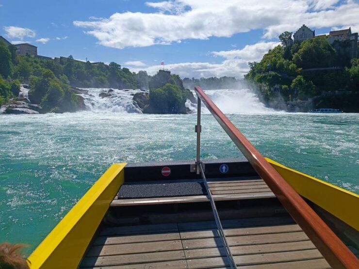 Rhine Falls & Stein Am Rhein: Private Tour With a Local - Experience