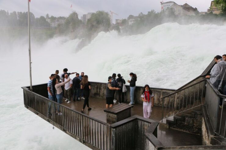 Rhine Falls & Stein Am Rhein: Private Tour With a Local - Tour Duration and Inclusions