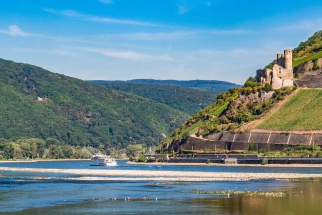 Rhine Valley Castles: 1.5-Hour Boat Tour From Rüdesheim - Customer Reviews and Ratings