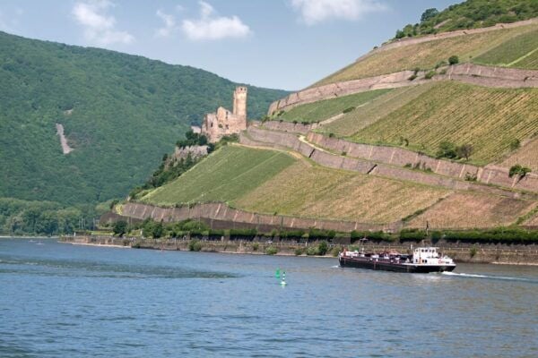 Rhine Valley Castles: 1.5-Hour Boat Tour From Rüdesheim - Boat Tour Details
