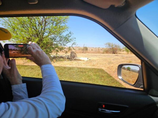 Rhino and Lion Park (Safari) and Cradle (Maropeng Museum) - Overall Rating