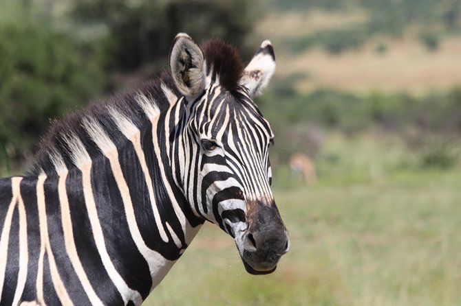 Rhino & Lion Nature Reserve & Wonder Caves - Fees and Taxes