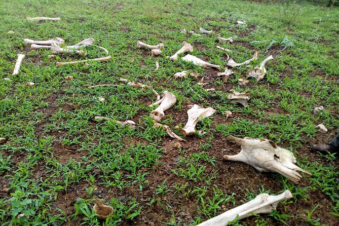 Rhino & Nature Walk in the Musiotunya National Park - Customer Reviews