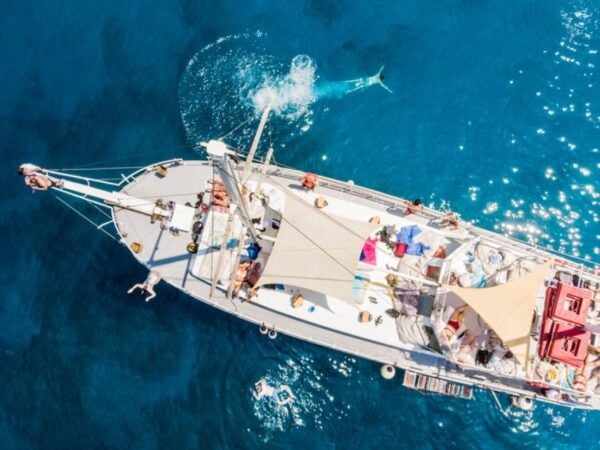 Rhodes: Boat Tour With Swimming, Gourmet Lunch, and Drinks - Frequently Asked Questions