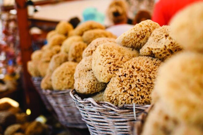 Rhodes: Boat Trip to Symi Island With Swimming at St. George - Important Information