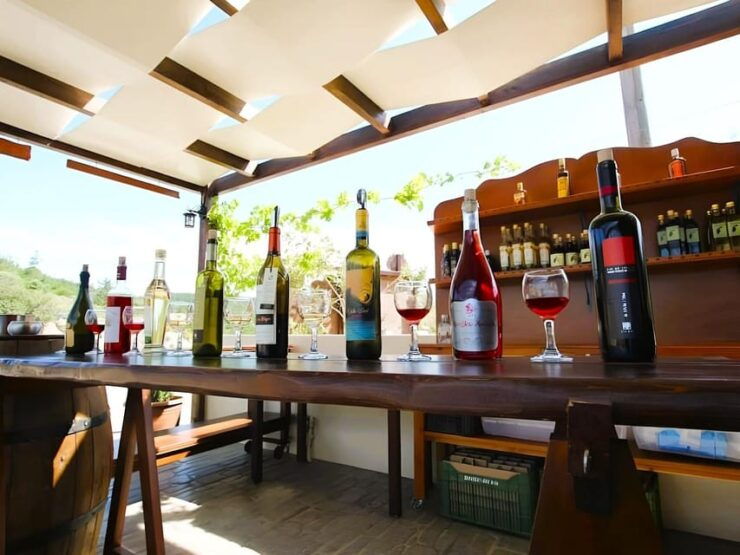 Rhodes: Butterflies Valley, Castle, Prasonisi & Wine Village - Good To Know