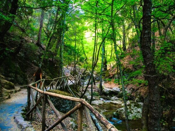 Rhodes: Butterflies Valley, Castle, Prasonisi & Wine Village - Swimming at Prasonisi